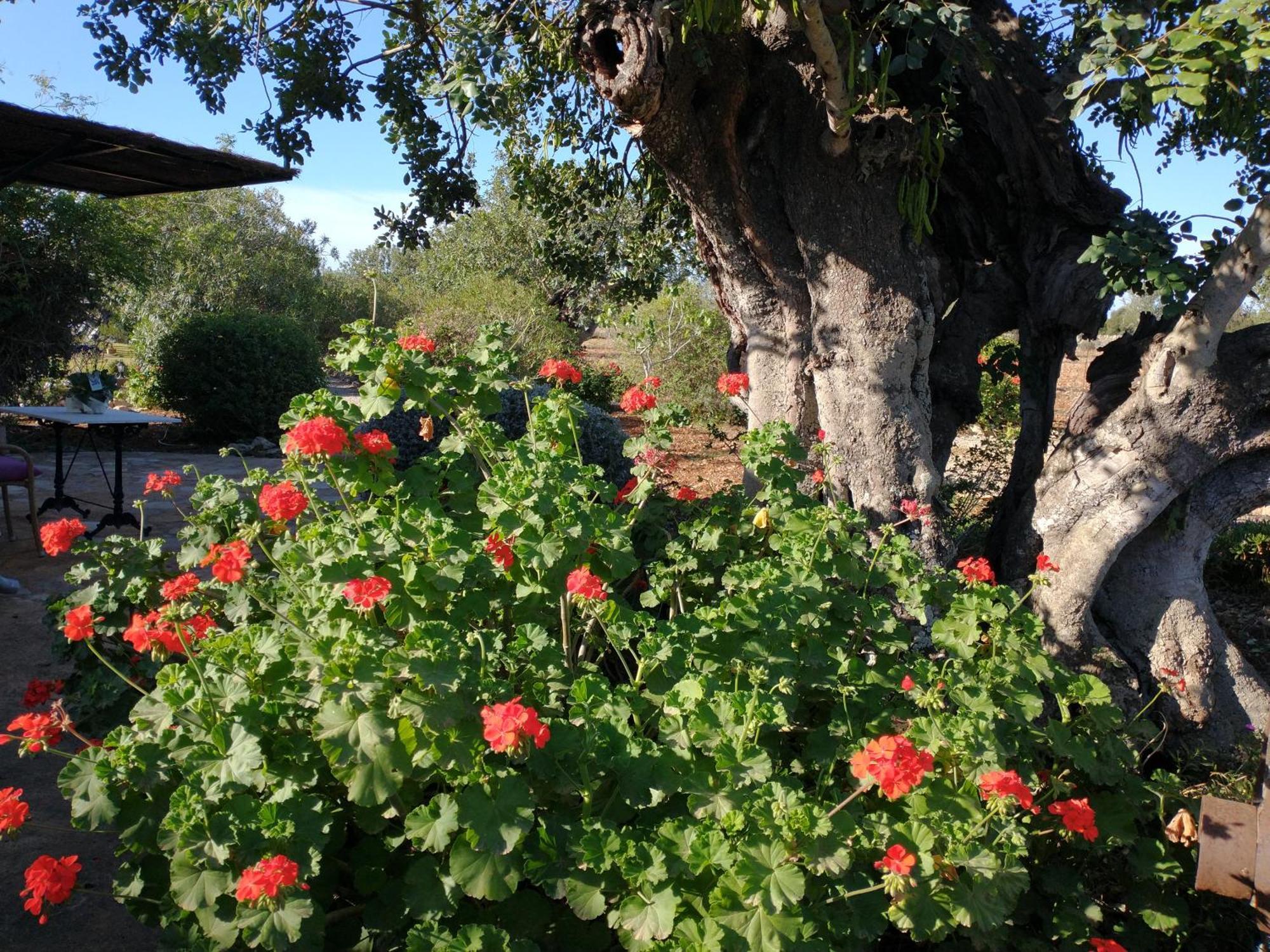 Finca Son Marimon Santanyi Esterno foto